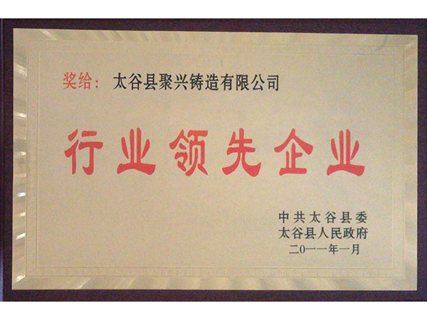 行業(yè)領先企業(yè)